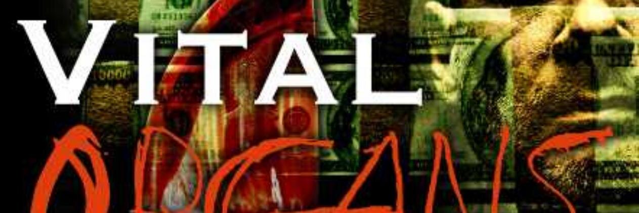 zelinger_allan's profile banner image
