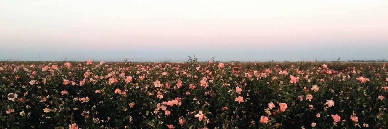 thata_bas's profile banner image