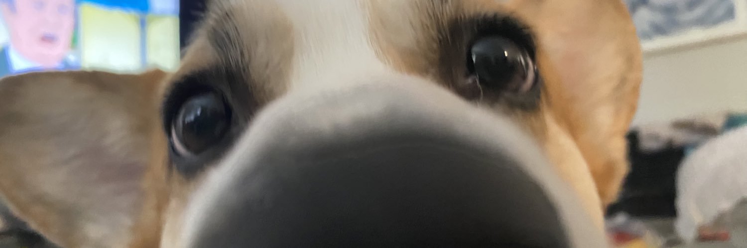 BuckStarling's profile banner image