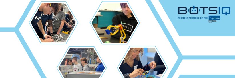 BotsIQ's banner