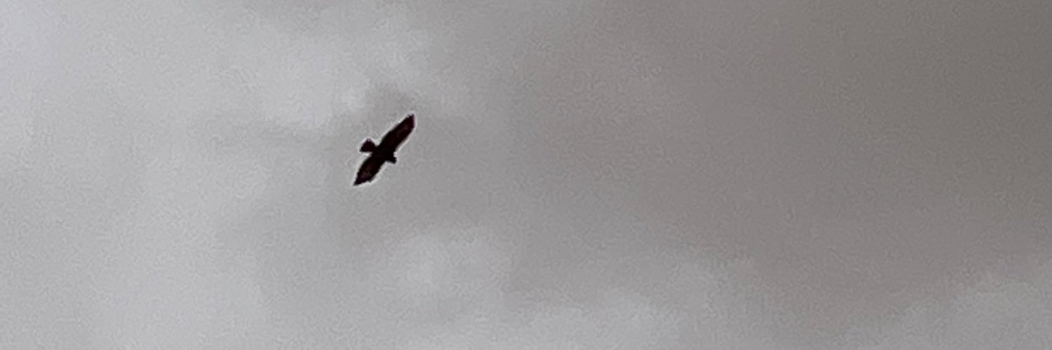 fhad_ahmd's profile banner image