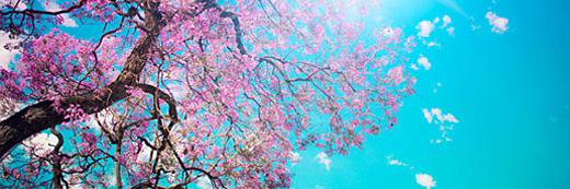 Sophomoric  Morality banner