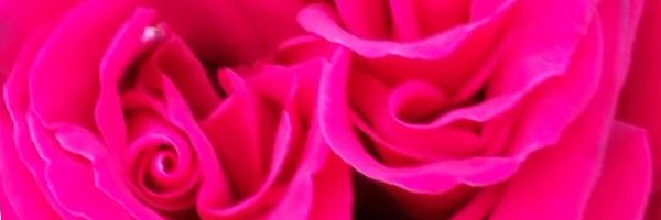 smalmarg2012 Profile Banner