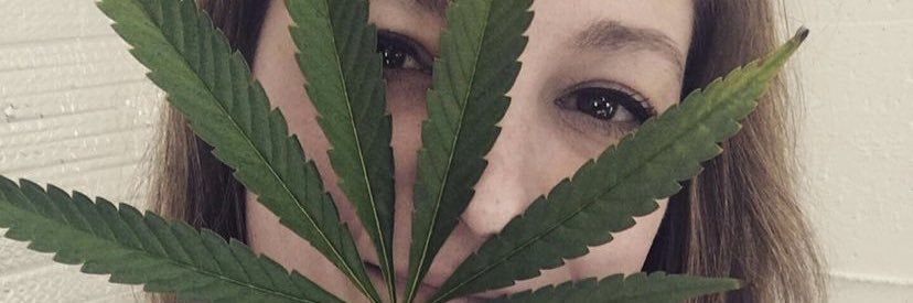 moms.who.toke.are.dope banner