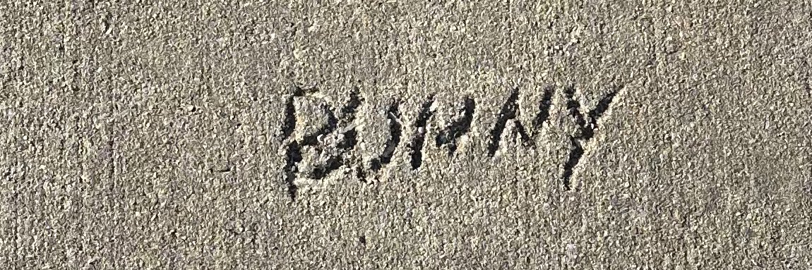 different & normal banner