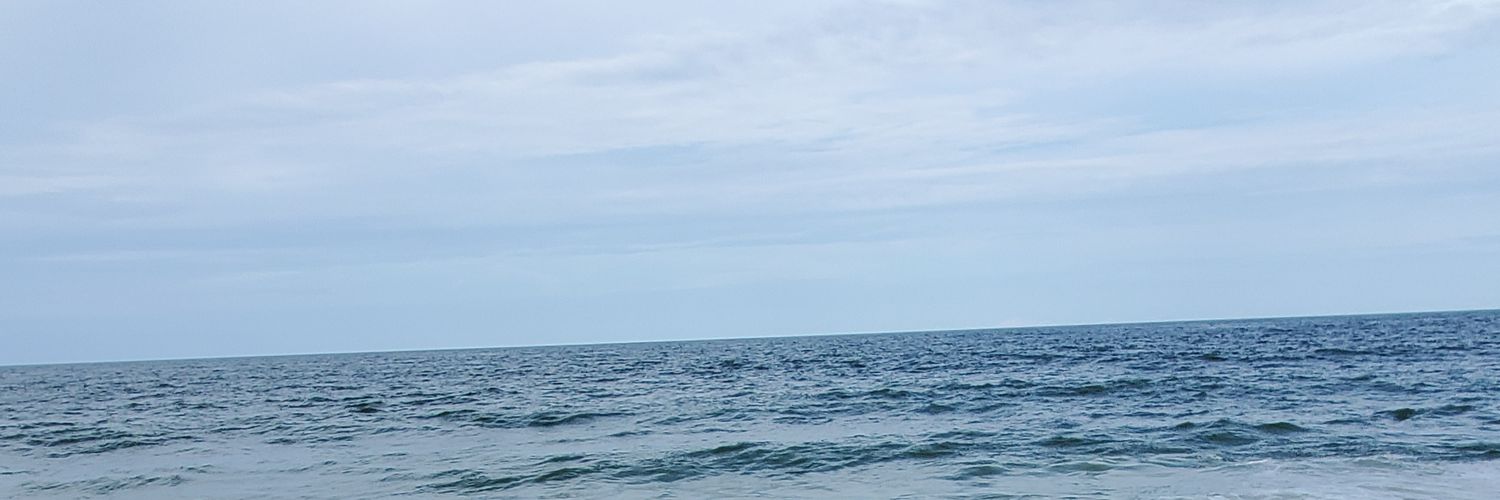 jenbeeinmd's profile banner image