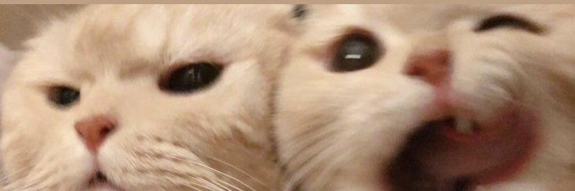 gmzerona's profile banner image
