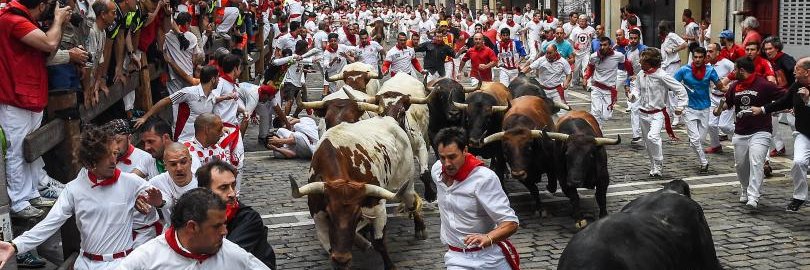 Crypto Bull banner