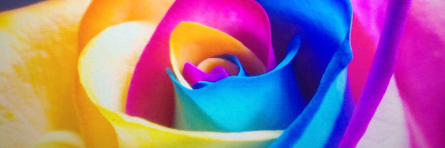 Debbieleil's profile banner image