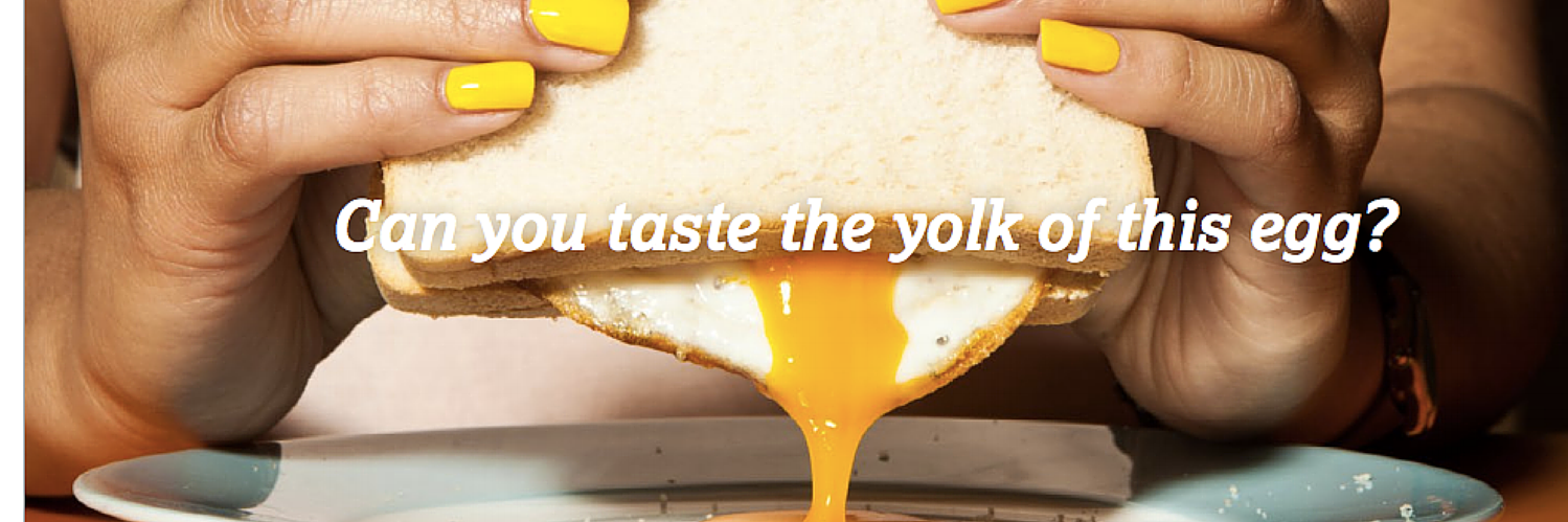 Fleur Broca banner