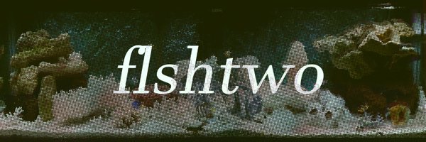FlSHTWO Profile Banner