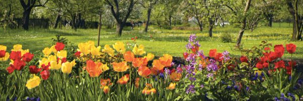 NedaIssa1 Profile Banner