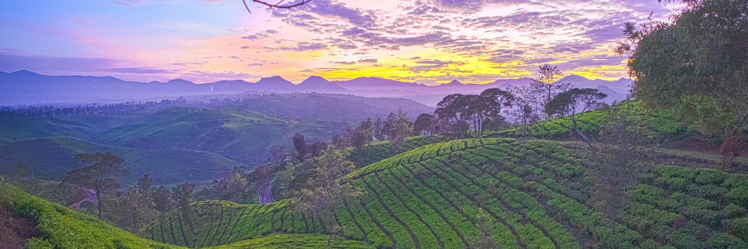 hedianto's profile banner image