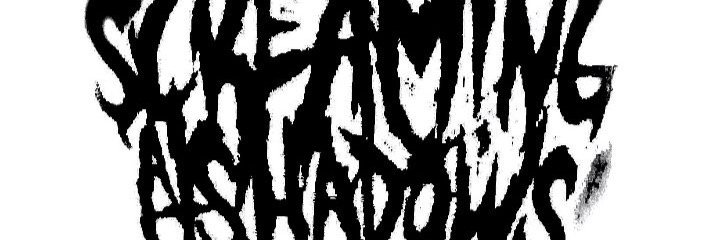 ScreamAtShadows's profile banner image