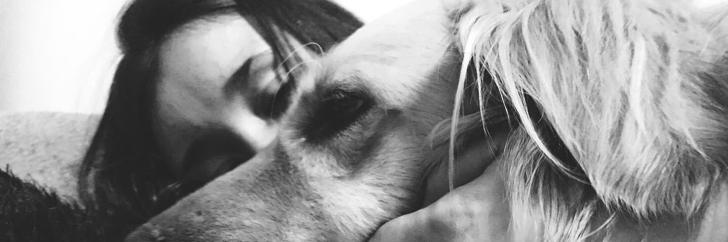 MirandaFlo_'s profile banner image