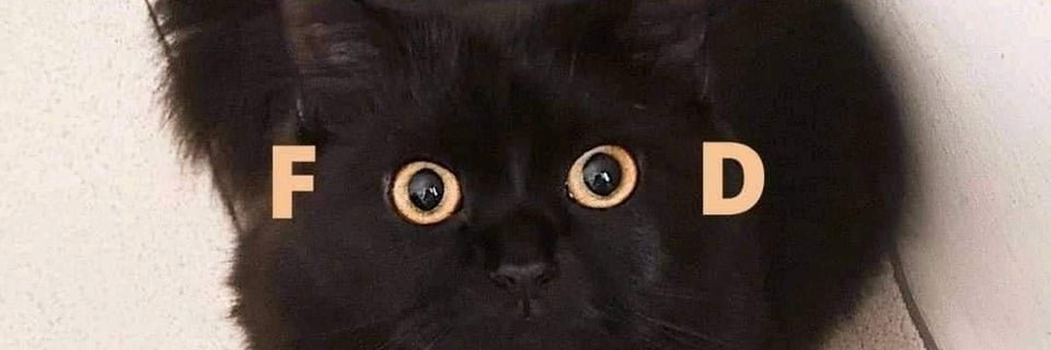 SoPlump's profile banner image