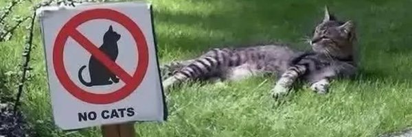 jose0081011431 Profile Banner