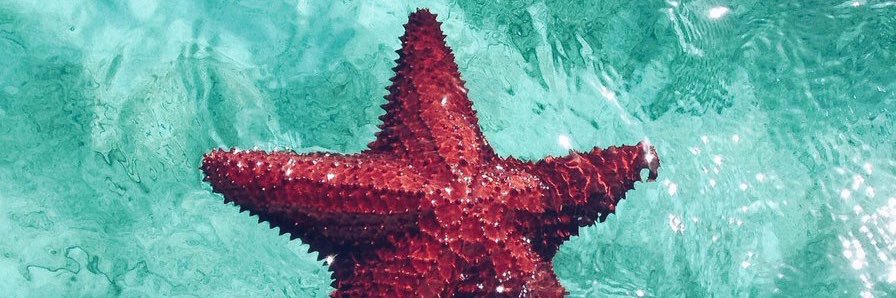 Anna_mlt's profile banner image