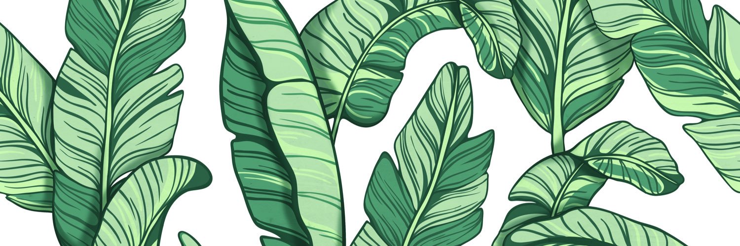 onanafoods's profile banner image