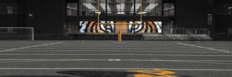 Coach Cinnamon banner