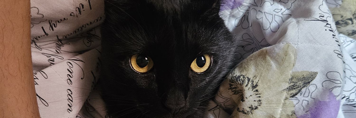 noops__'s profile banner image