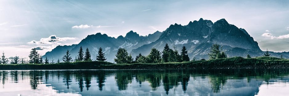 Matej Vide banner