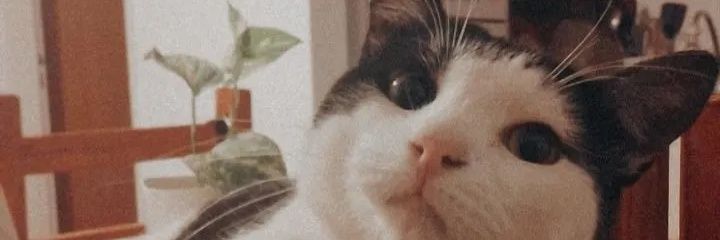 agospessot's profile banner image