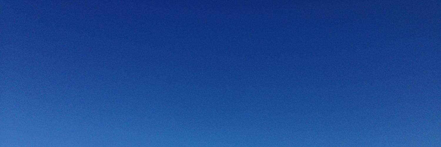 Melissa Chang banner