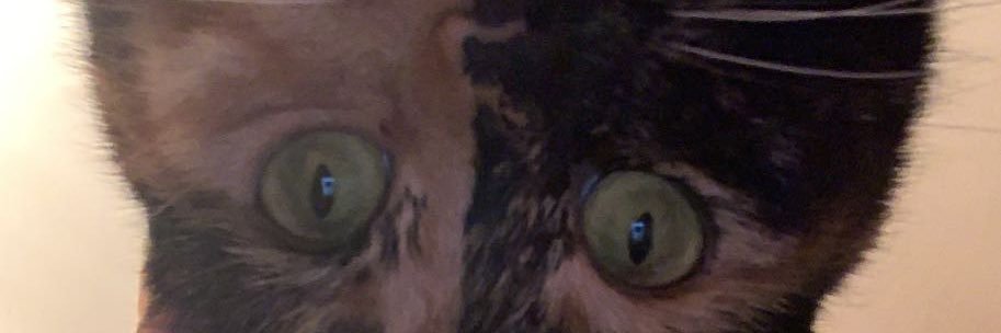 VltJulia's profile banner image