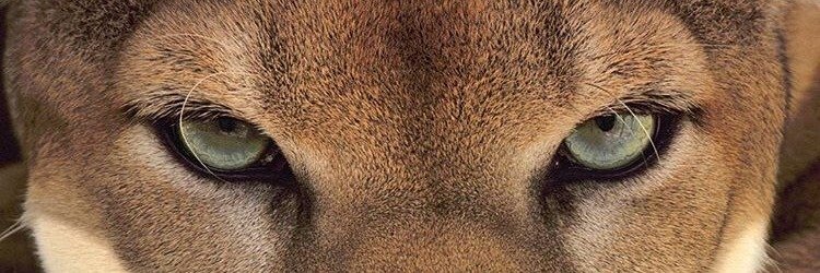 Washington_605's profile banner image