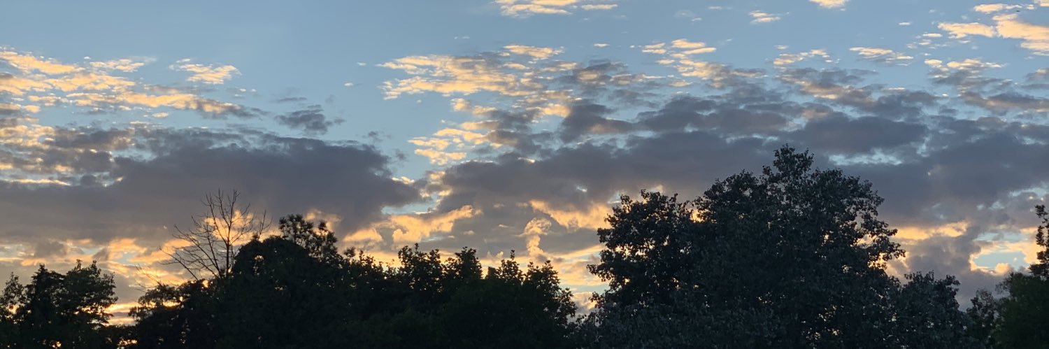 PinDonoso's profile banner image