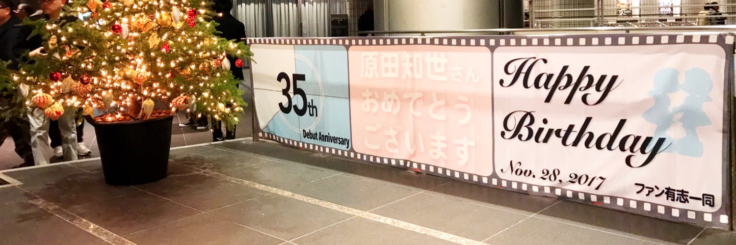 カシオペイア（カメ🐢） banner