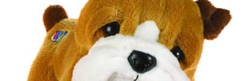 Nuclearwolfgam1's profile banner image
