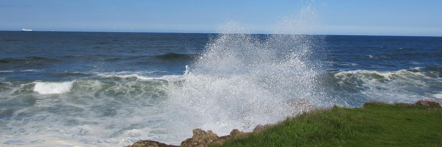 Damian Nicholson banner