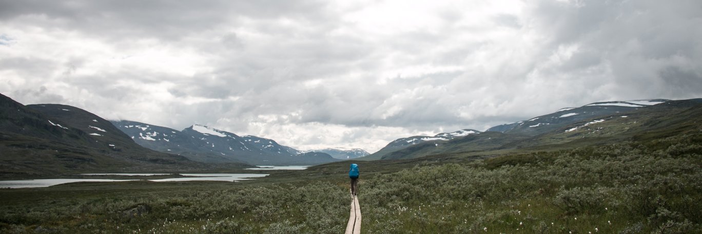 Sonja 🍉🤖 banner