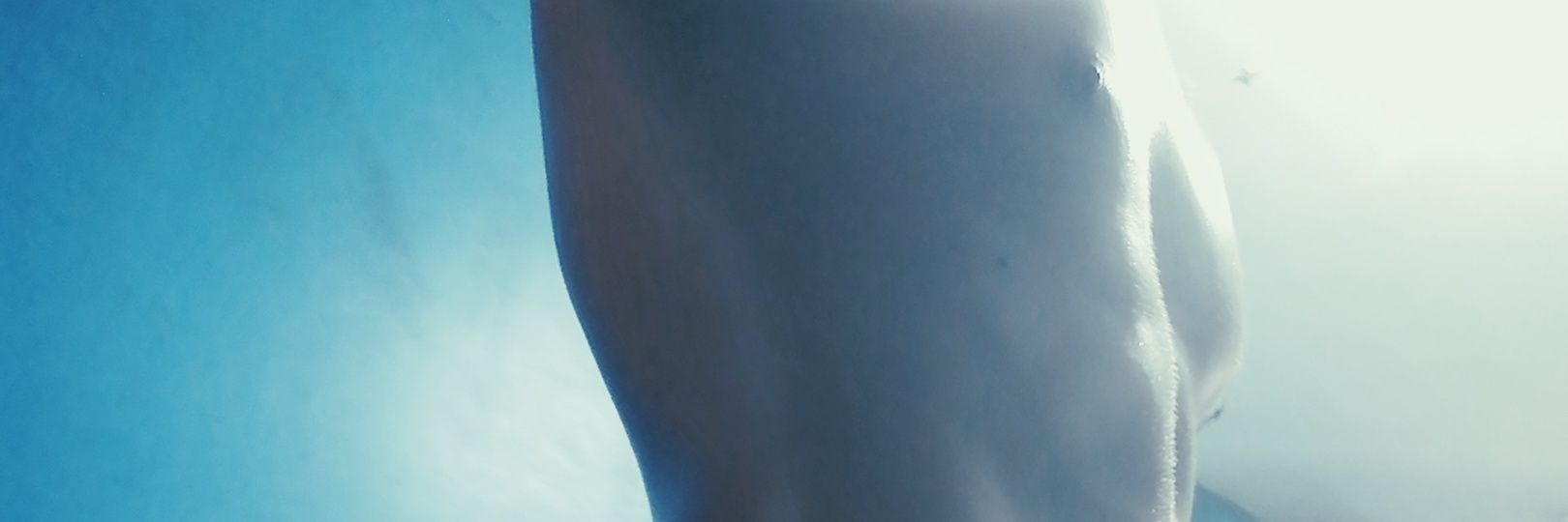 alesis_ryan's profile banner image