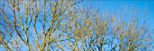 michaelmoloney_ Profile Banner
