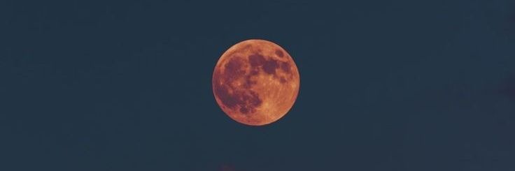 Océ/ Paci ⁷ banner