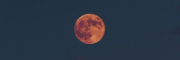 PacifiqueThe Profile Banner