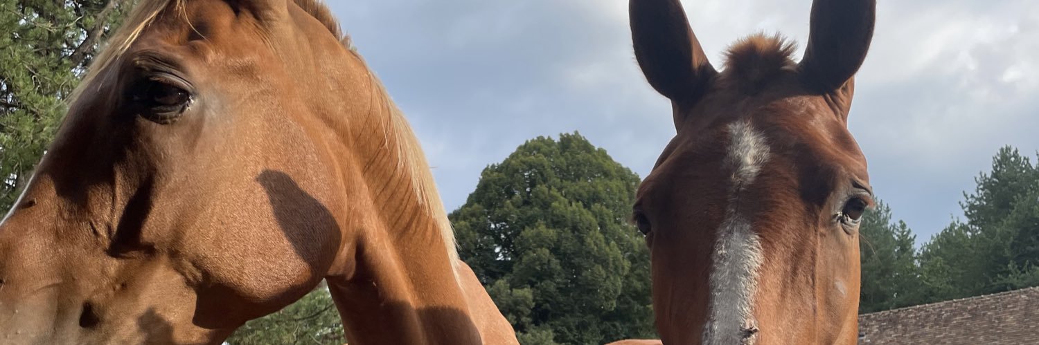 Arthurchantelou's profile banner image
