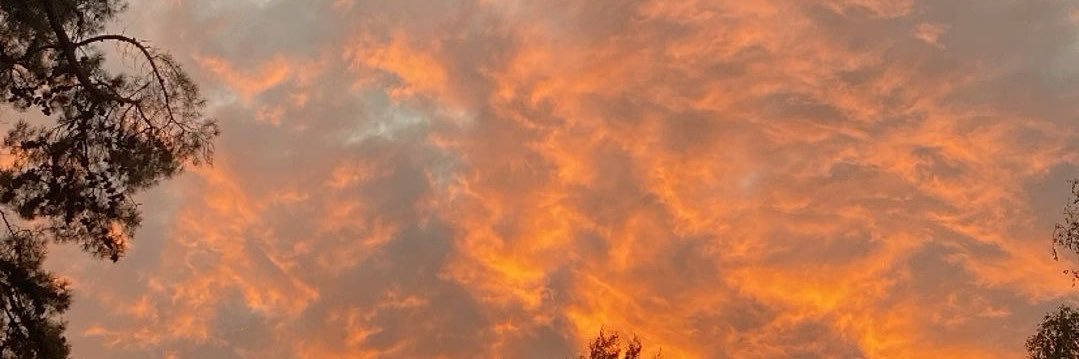 raquel ✧*:･ﾟ✧ banner