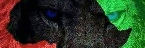dekawill's profile banner image