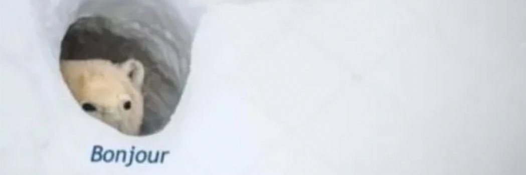 ImSoaps_'s profile banner image