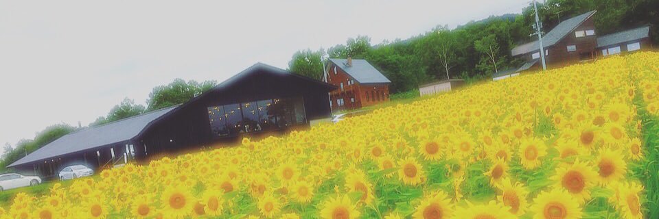 ☕︎︎ banner