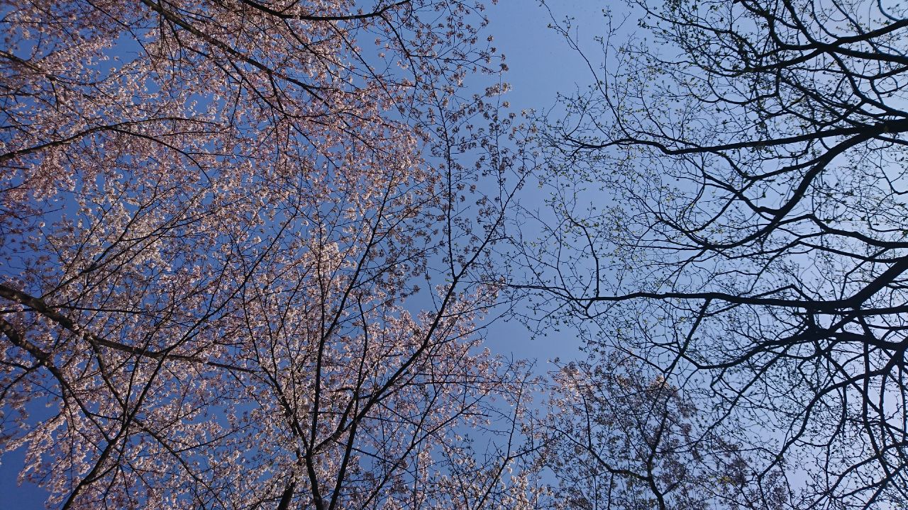 UnchargedMemory's profile banner image