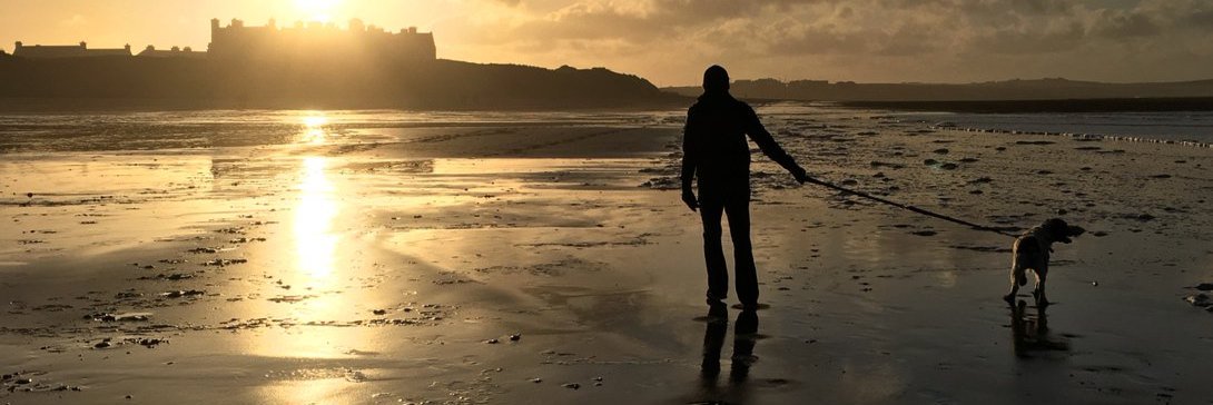 Iomhar Daly 🇮🇪🤝🇺🇦 banner