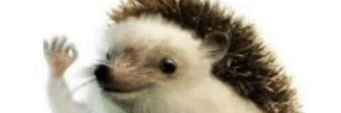 CamRunsTheWorld's profile banner image
