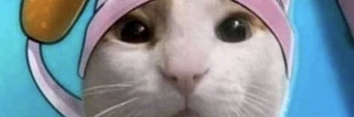 PorkchopRemix's profile banner image