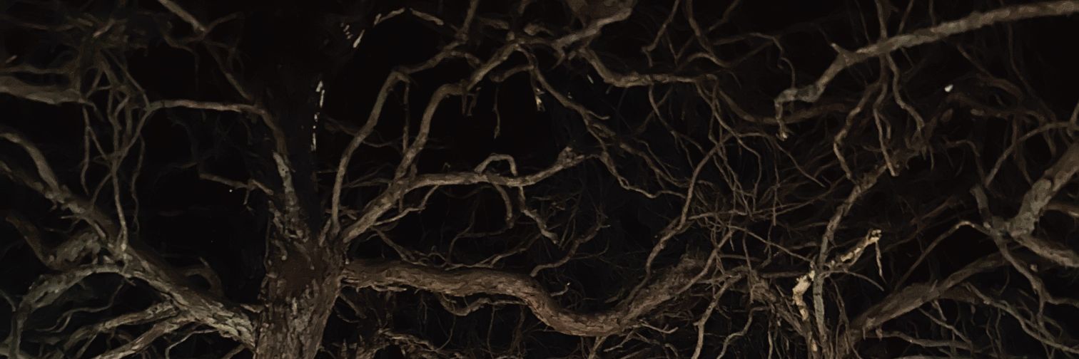 makofirefly's profile banner image