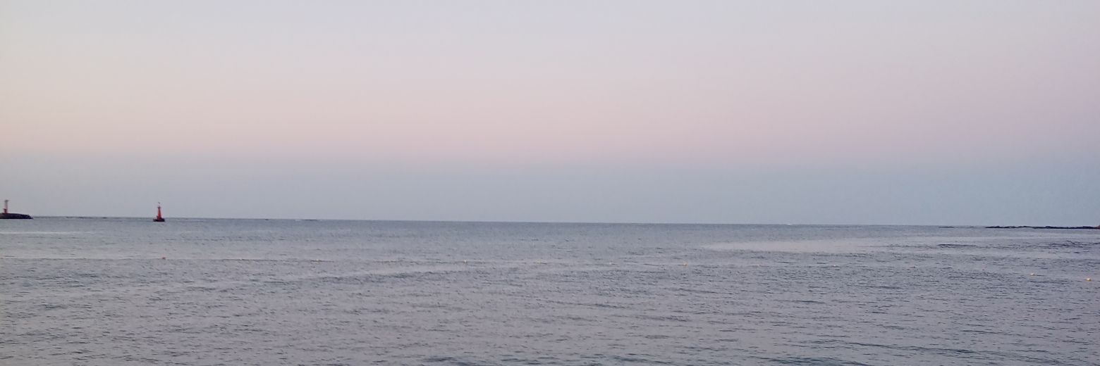 やんま banner